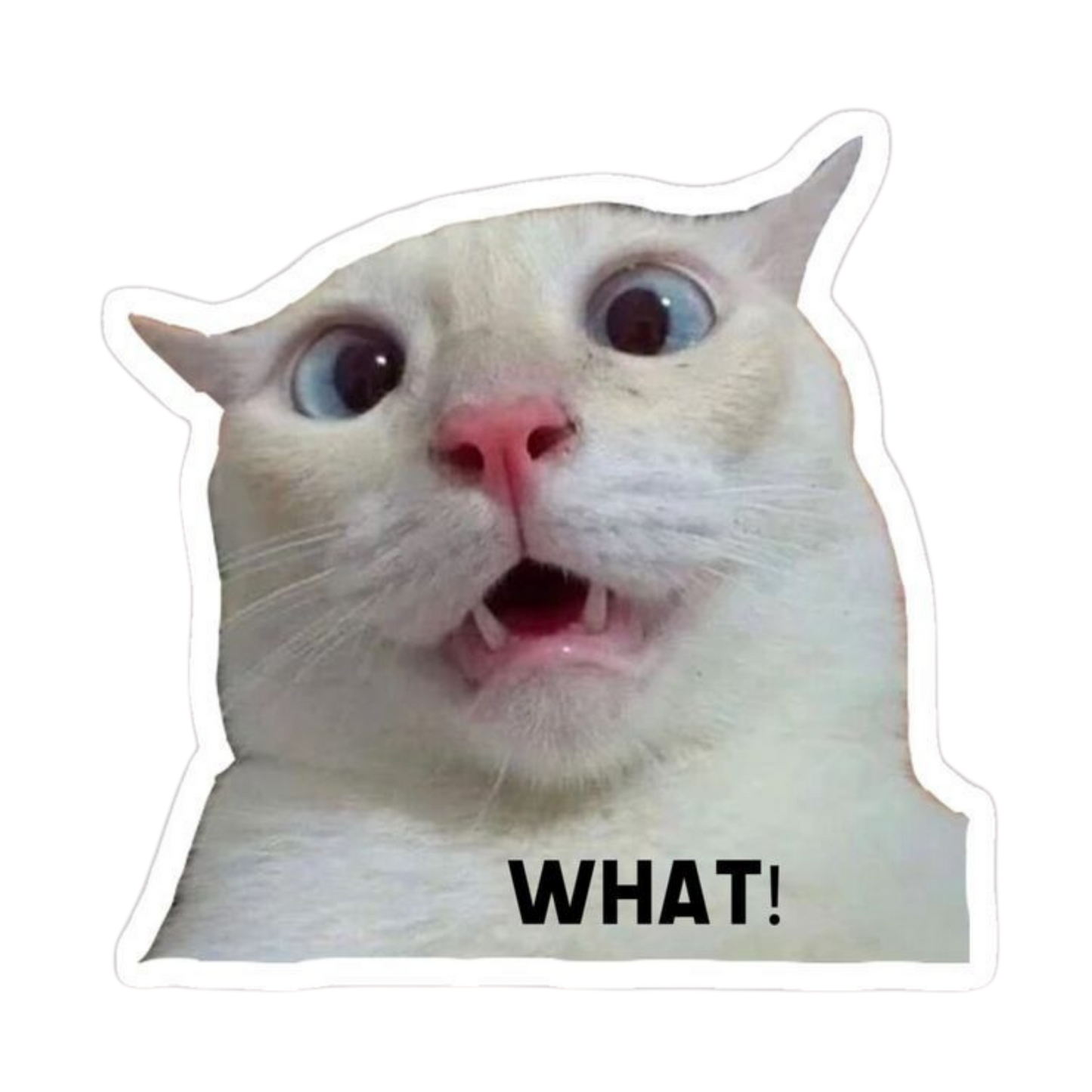 Funny Meme Sticker 29 | Viral Internet Humor Premium Sticker
