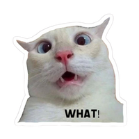 Funny Meme Sticker 29 | Viral Internet Humor Premium Sticker