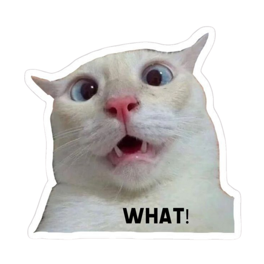 Funny Meme Sticker 29 | Viral Internet Humor Premium Sticker