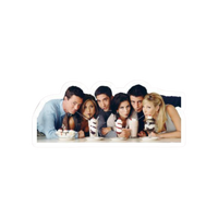 Hall of Friends | F.R.I.E.N.D.S Sticker | TV Series