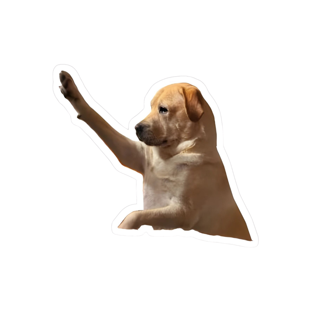 LOL Sticker 37 | Viral, Sarcastic & Weird Designs | StickerBD