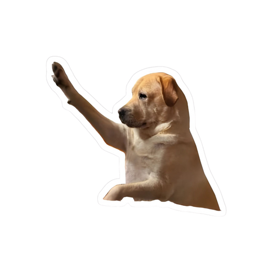 LOL Sticker 37 | Viral, Sarcastic & Weird Designs | StickerBD