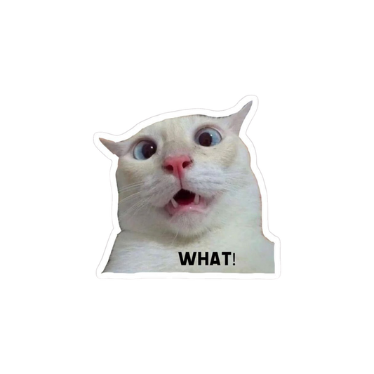 LOL Sticker 39 | Viral, Sarcastic & Weird Designs | StickerBD