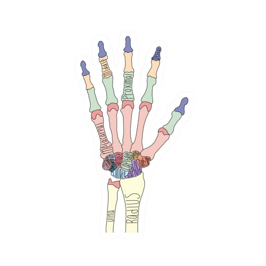 Hand 2 | Human Biology Premium Sticker | Human Body & Organs