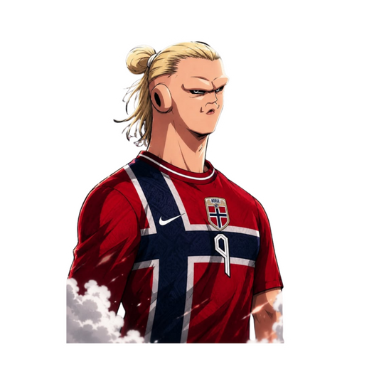 Norway Football Team Stickers 3 | Norway Football Sticker