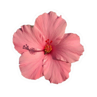 Flower 2 | Flower Premium Sticker | Flower Sticker