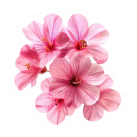 Pink Sticker 43 | Women Pink Barbie Lady | Aesthetic Girl Power Premium Sticker