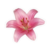 Flower 3 | Flower Premium Sticker | Flower Sticker