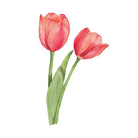 Flower 6 | Flower Premium Sticker | Flower Sticker
