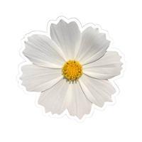 Flower 7 | Flower Premium Sticker | Flower Sticker