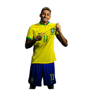 FC Brazil 53 | Brazil Football Sticker | Football sticker