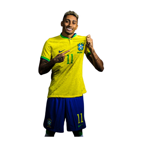 FC Brazil 53 | Brazil Football Sticker | Football sticker