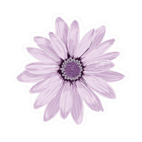 Flower 8 | Flower Premium Sticker | Flower Sticker