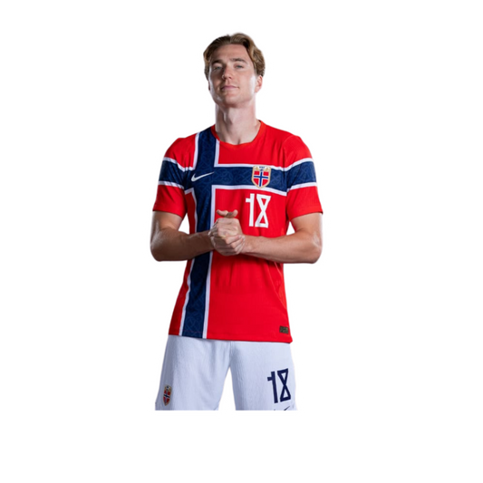 Norway Football Team Stickers 4 | Norway Football Sticker