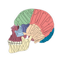 Head | Human Biology Premium Sticker | Human Body & Organs
