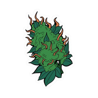Kush Hemp sticker