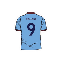 Haaland | Manchester City Premium Sticker | Football Club