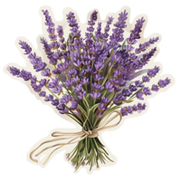Flower 14 | Flower Premium Sticker | Flower Sticker