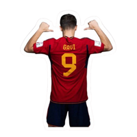 FC Spain 5 | Spain Football Sticker | Football Team