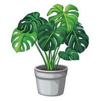 Plant 3 | Plant Premium Sticker | Plant Sticker