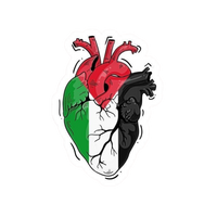Palestine 3 | Country Premium Sticker | Country, Flag & Travel Sticker