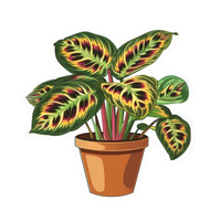 Plant 5 | Plant Premium Sticker | Plant Sticker