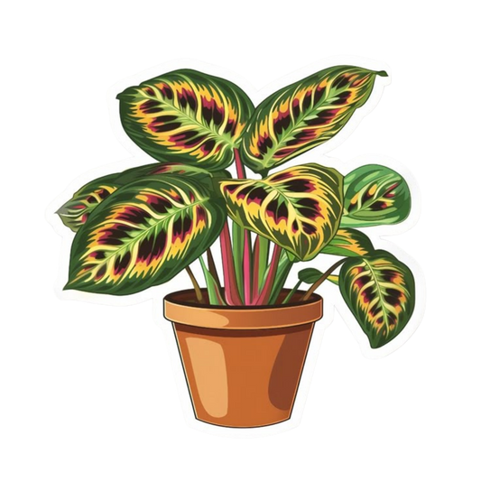 Plant 5 | Plant Premium Sticker | Plant Sticker
