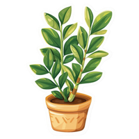 Plant 6 | Plant Premium Sticker | Plant Sticker