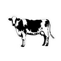Cow 6 | Cow Premium Sticker | Animal Stickers