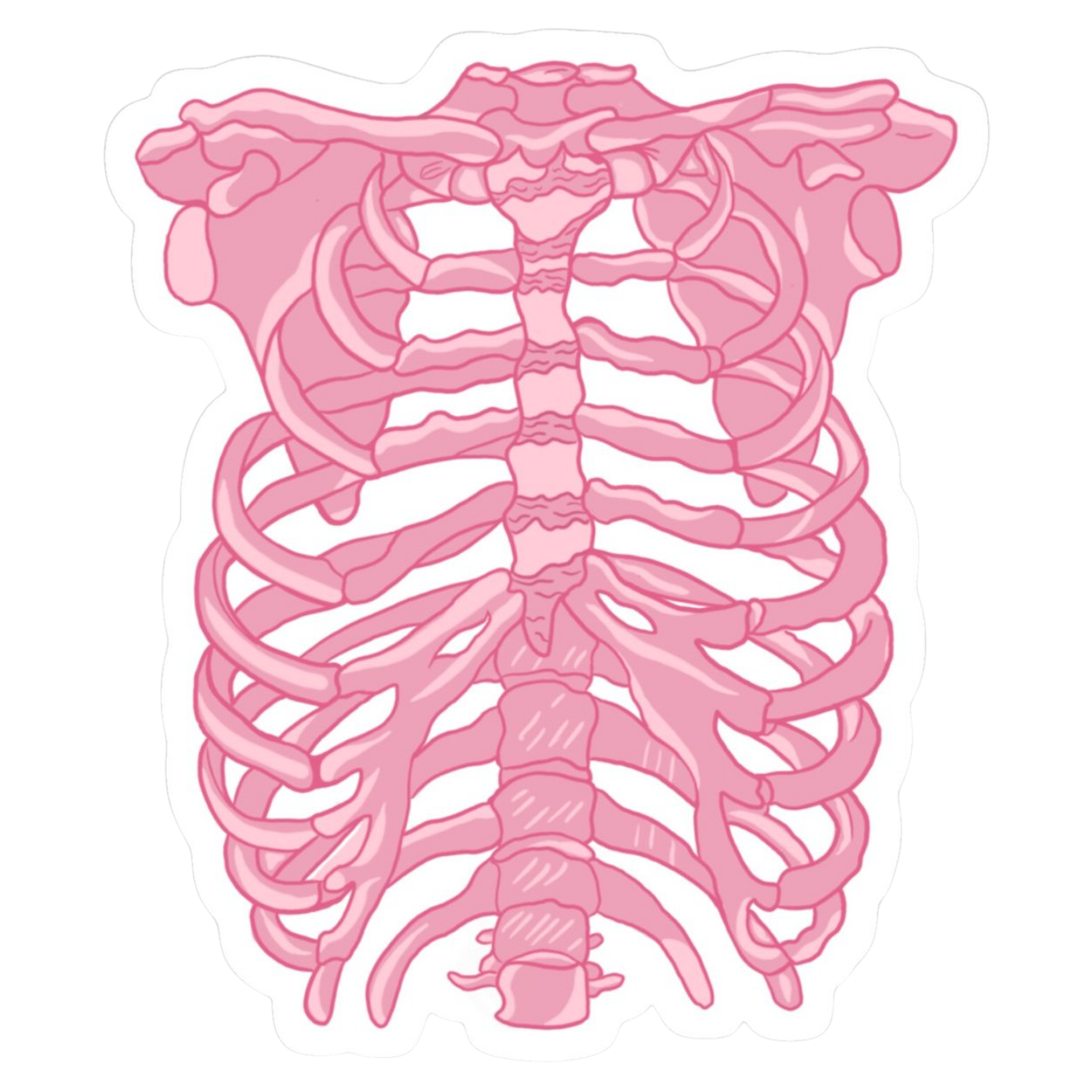 Bones | Human Biology Premium Sticker | Human Body & Organs