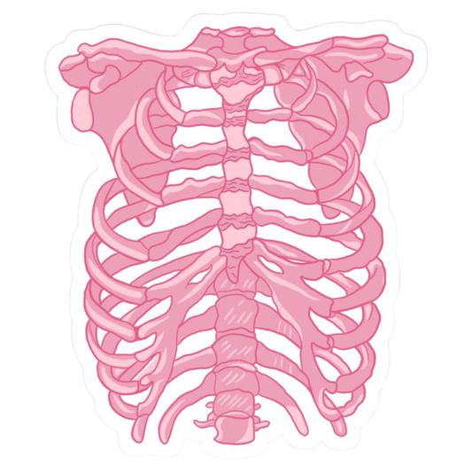 Bones | Human Biology Premium Sticker | Human Body & Organs