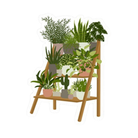 Plant 12 | Plant Premium Sticker | Plant Sticker