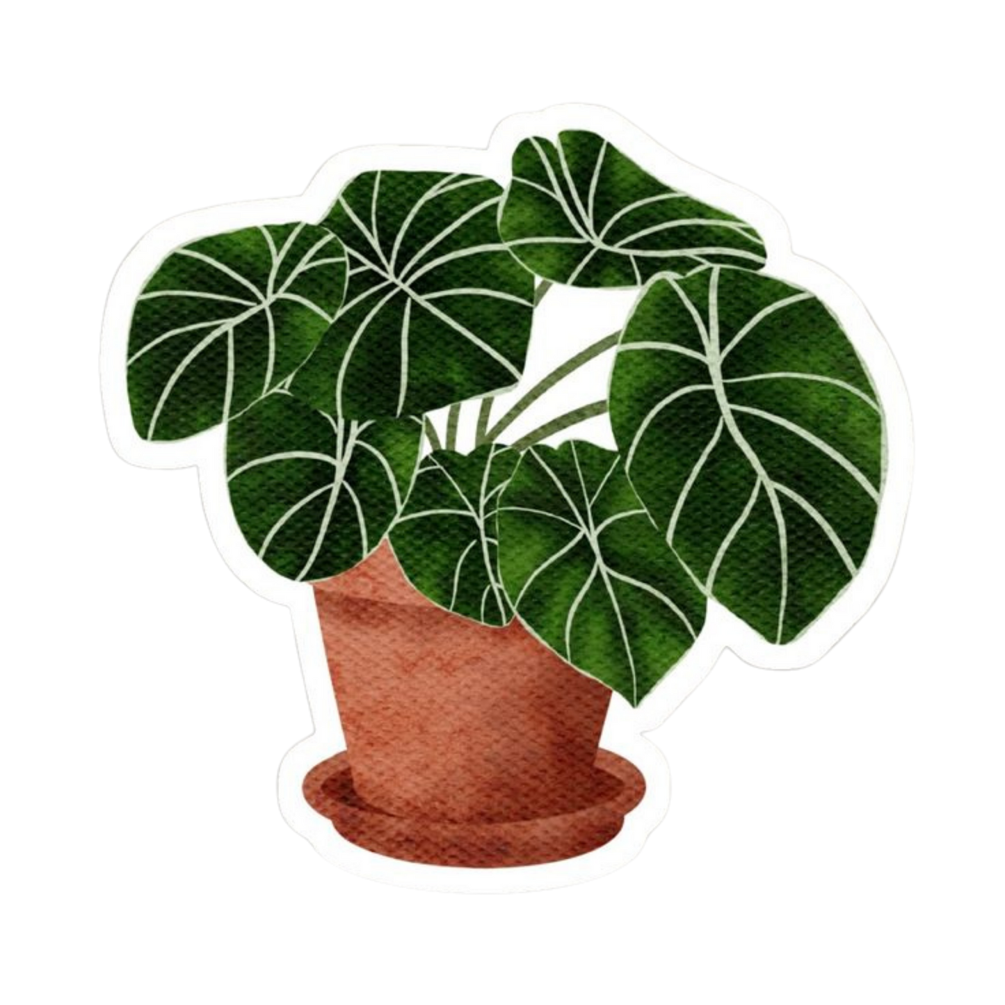 Plant 13 | Plant Premium Sticker | Plant Sticker