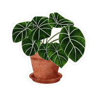Plant 13 | Plant Premium Sticker | Plant Sticker