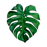 Plant 14 | Plant Premium Sticker | Plant Sticker