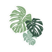 Plant 15 | Plant Premium Sticker | Plant Sticker
