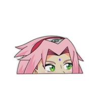 Sakura Haruno Naruto Sticker 6 | Anime Premium Sticker