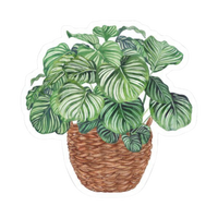 Plant 18 | Plant Premium Sticker | Plant Sticker
