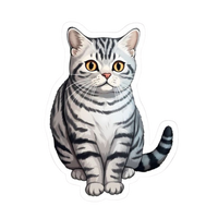 Cat 07 | Cat Premium Sticker | Cute Vibes 😺