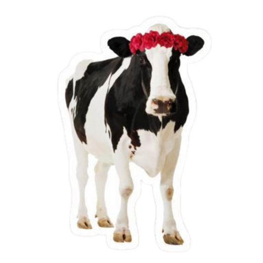 Cow 7 | Cow Premium Sticker | Animal Stickers