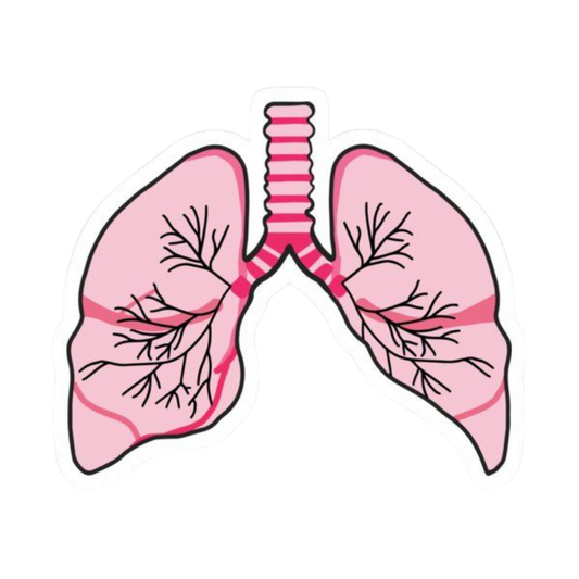 Pink Bones | Human Biology Premium Sticker | Human Body & Organs