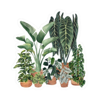 Plant 20 | Plant Premium Sticker | Plant Sticker