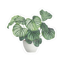 Plant 22 | Plant Premium Sticker | Plant Sticker