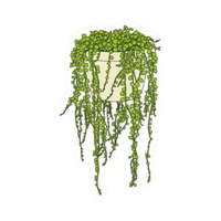 Plant 24 | Plant Premium Sticker | Plant Sticker