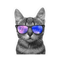 Cat 09 | Cat Premium Sticker | Cute Vibes 😺