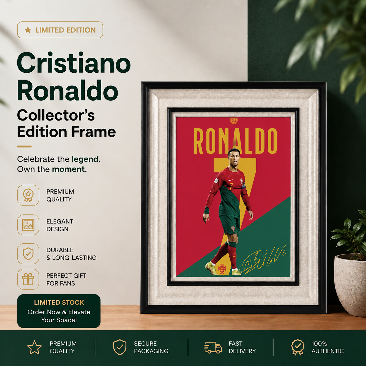 Cristiano Ronaldo Collector's Edition Frame | No. 01