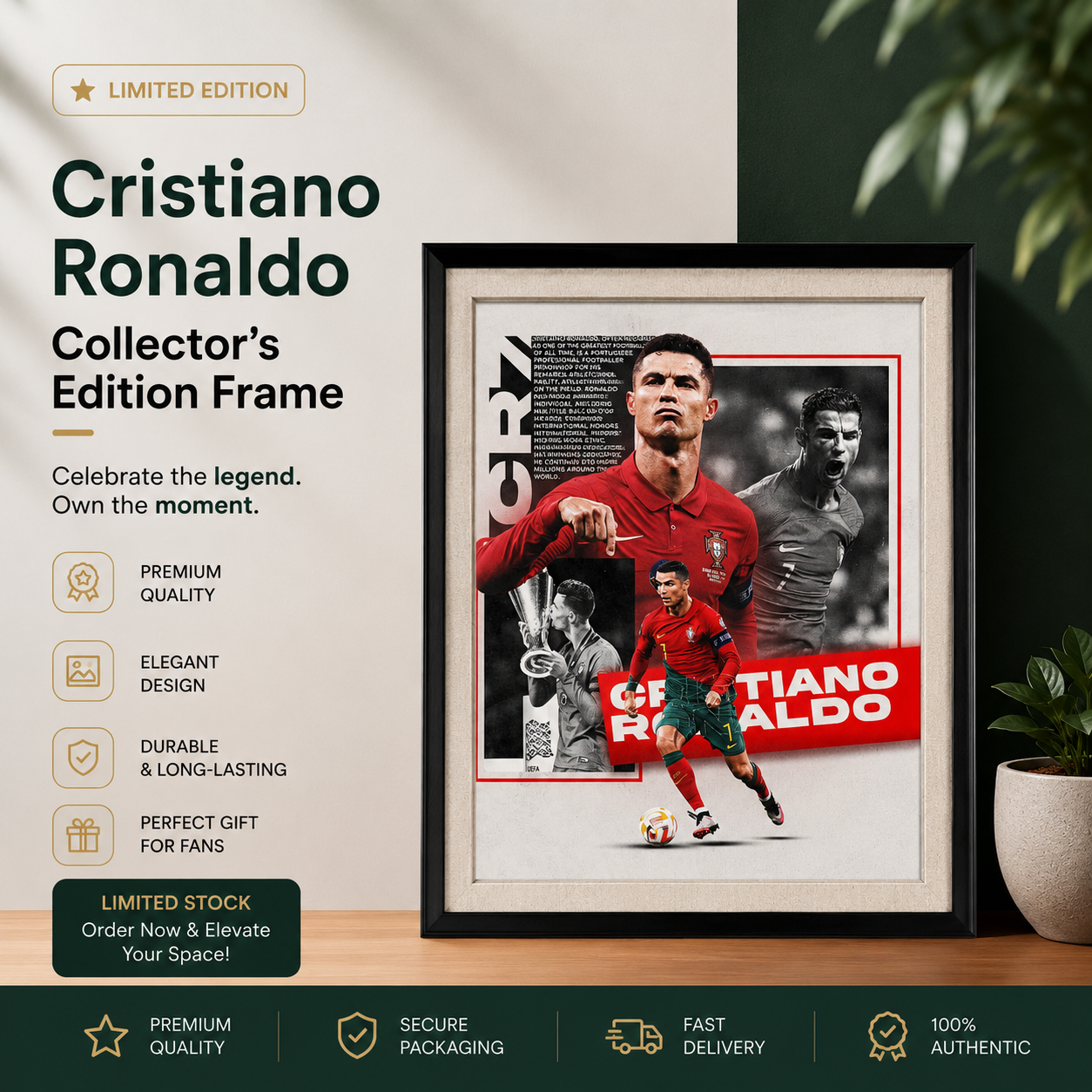 Cristiano Ronaldo Collector's Edition Frame | No. 03