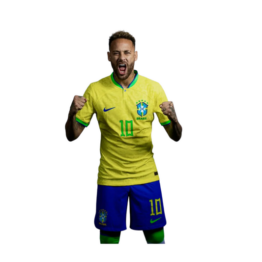 FC Brazil 58 | Brazil Football Sticker | Football sticker