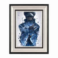 One Piece Collector's Edition Framed Poster #17 | StickerBD