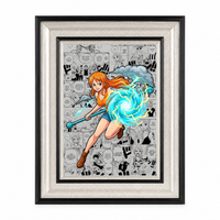 One Piece Collector's Edition Framed Poster #37 | StickerBD